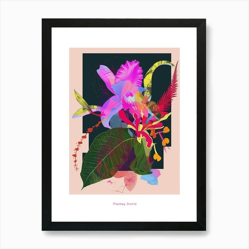 Monkey orchid neon flower - orchid,