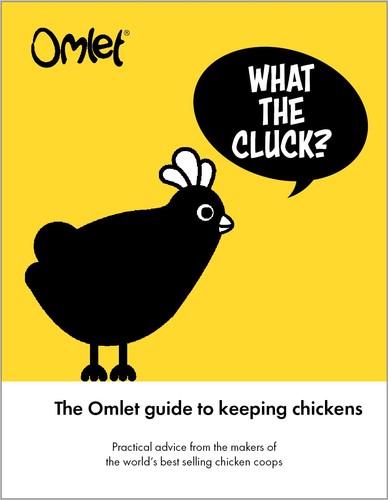 What the cluck - what, omlet