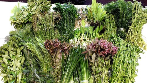 Live tropical aquarium - live,