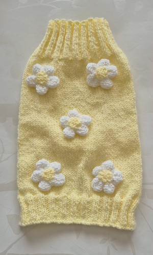 Hand knitted dog puppy - hand,