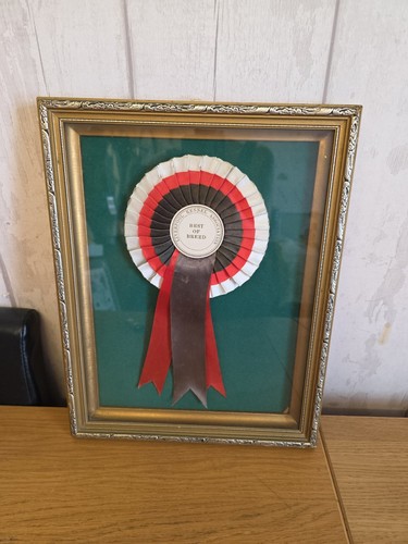 Vintage framed rosette - framed,