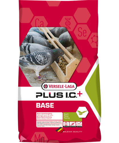 Versele laga base plus - base, +