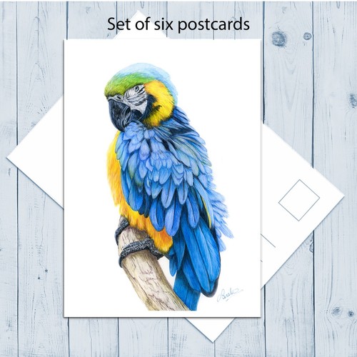 Set six postards blue and - set,