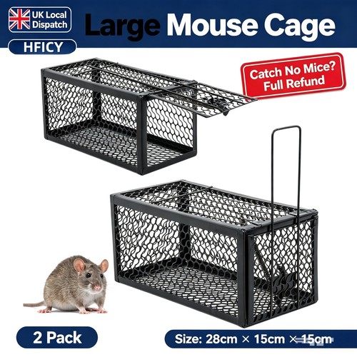 Rat catcher spring - rat, cage