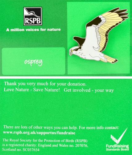 Rspb pin badge amvfn - rspb,