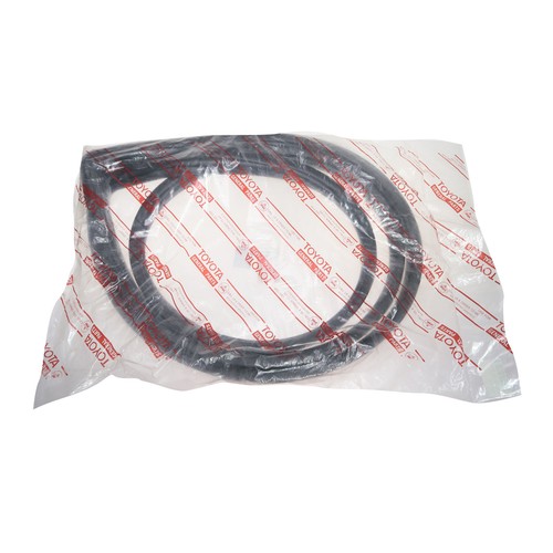 New windshield weatherstrip - windshield,