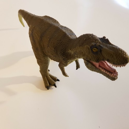 Tyrannosaurus trex dinosaur - trex,