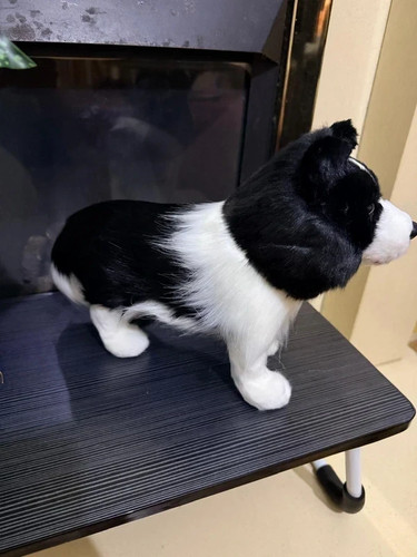Realistic border collie - collie, plush