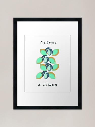 Citrus limon modern - x,