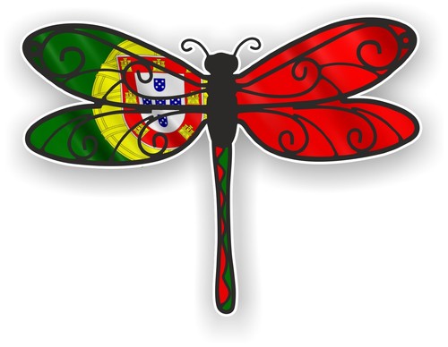 Beautiful dragonfly insect - beautiful,