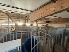 Galvanised Animal Livestock Pens Enclosures galv Steel Gates fences Farming