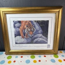 Stephen Gayford Signed Tiger Print 'Final Moments’ Limited Edition No 8/1100