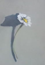 ORIGINAL still life oil