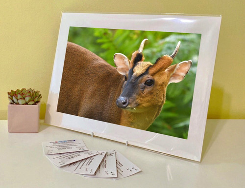 Art print image picture - art,