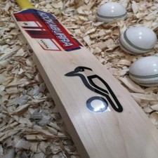 English Willow Cricket Bat