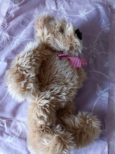 Cuddly teddy bear - teddy, inches