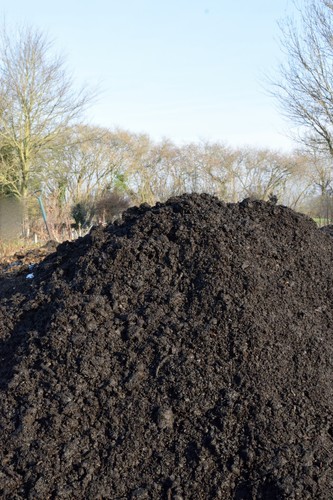 Premium loose green compost - loose,