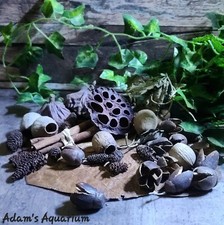 Small botanical enrichment box - small,