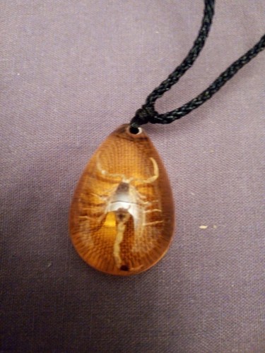 Amber with golden black backed - amber,