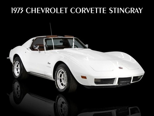 1973 chevrolet corvette - 1973,