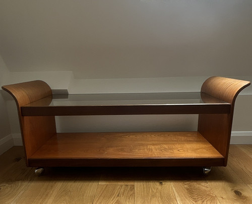 Mid century plan tulip - g,
