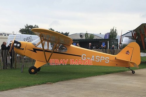 Photo asps piper - photo,