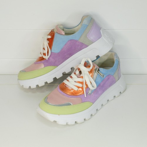 Waldlaufer multicoloured - waldlaufer,