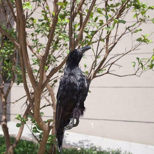 Realistic hanging dead - hanging,