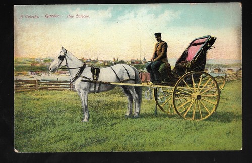 Caleche quebec antique - caleche,