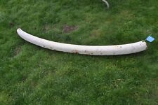 VW T2 Camper Early Bay Front Bumper 67 - 72