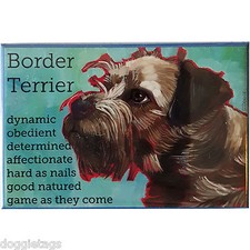 Border Terrier - Dog Portrait