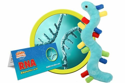 Giant microbes rna - giant,