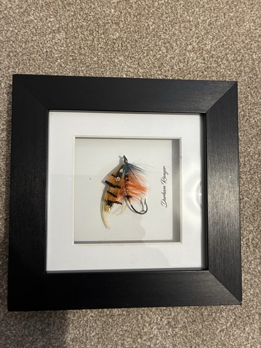 Framed salmon fly - framed,