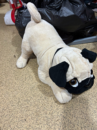 Pug dog plush soft - toy, stuffed