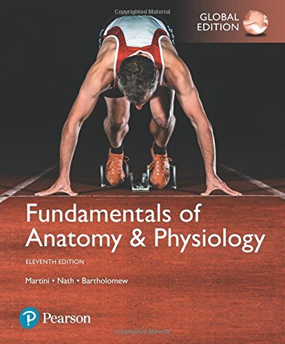 Fundamentals anatomy - fundamentals, of