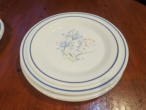 Pyrex blue iris plates set - pyrex,
