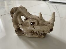 17cm Aquarium Fish Tank Animal