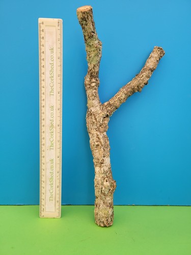 Cork bark branch 33cm snake - 33cm,