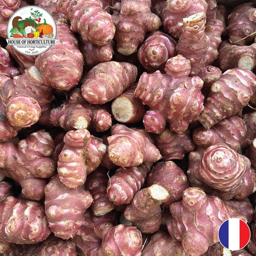 Fresh french jerusalem - fresh,