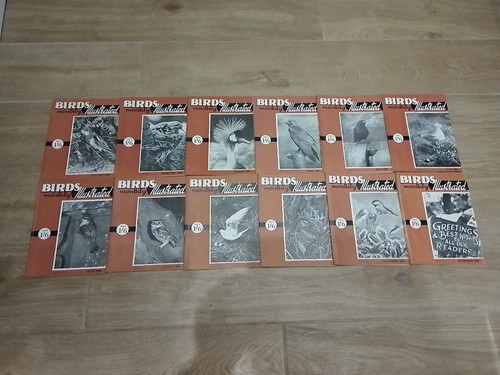 Birds illustrated monthly - illustrated, monthly"