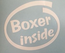 Boxer inside dog pup - inside, board