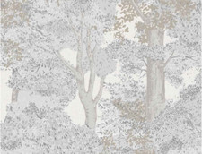 Woodland Trees Grey Forest