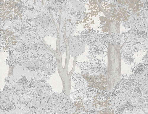 Woodland trees grey - trees, forest