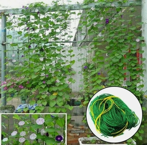 Plant support mesh - plant,