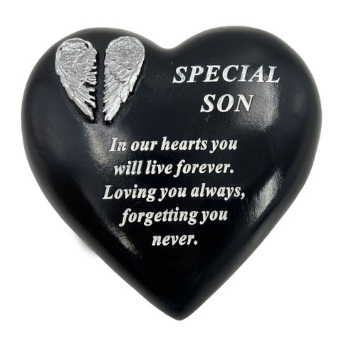 Special son angel wings - special,