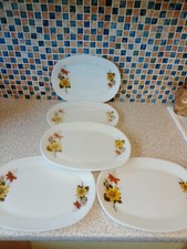 JAJ PYREX AUTUMN GLORY DESIGN
