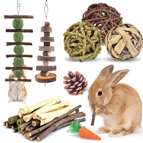 Rabbit chew toys types - chew, 10