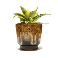 Fohr Keramik Planter in Fat