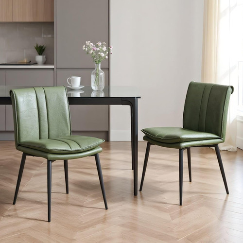 Retro dining chairs 2pcs - dining,