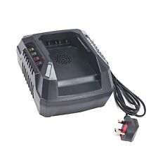 Hyundai 40V Fast Charger